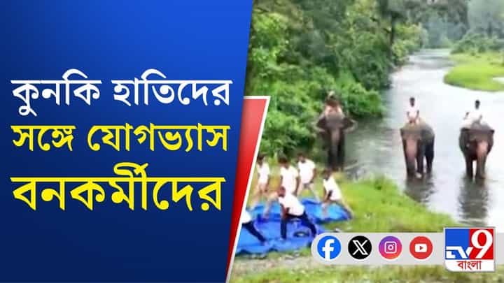 Yoga Day in West Bengal: যোগ দিবসে বন দফতরের নজর কাড়া উদ্যোগ, কুনকি হাতিরাও সামিল যোগভ্যাসে Yoga Day in West Bengal: যোগ দিবসে বন দফতরের নজর কাড়া উদ্যোগ, কুনকি হাতিরাও সামিল যোগভ্যাসে