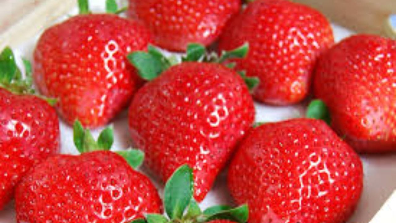 সেম্বিকিয়া রানি স্ট্রবেরি (Sembikiya Queen Strawberries) ১২টি স্ট্রবেরির এক একটি প্যাকেটের দাম প্রায় ৭ হাজার থেকে ৮ হাজার টাকা ($85+)। টোকিওর বিখ্যাত বিলাসবহুল ফলের দোকান 'সেম্বিকিয়া' এই স্ট্রবেরি বিক্রি করে। প্রাকৃতিকভাবে ফলানো শত শত স্ট্রবেরির মধ্য থেকে বেছে বেছে সবচেয়ে নিখুঁত লাল, একই আকৃতির এবং সুনির্দিষ্ট ওজনের ১২টি স্ট্রবেরি এই প্যাকেটে রাখা হয়। এর ওপর হালকা এক ফোঁটা দাগ থাকলেও তা বাতিল বলে গণ্য হয়।