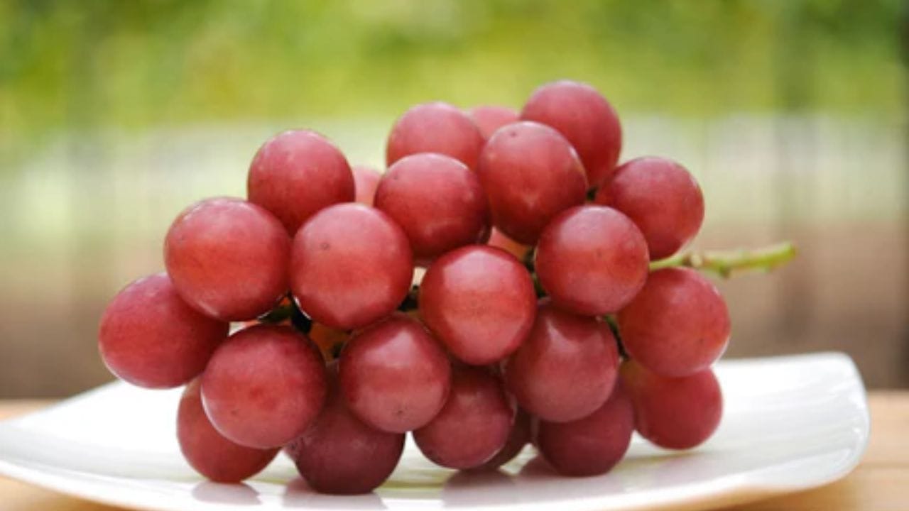 রুবি রোমান আঙুর (Ruby Roman Grapes) — একটি আঙুরের দাম লাখ টাকা আনুমানিক দাম: এক একটি থোকার দাম প্রায় ৮ লক্ষ থেকে ১১ লক্ষ টাকা ($11,000+)। জাপানের ইশিকাওয়া প্রদেশে উৎপাদিত এই রুবি রোমান আঙুর আকারে এক একটি পিং-পং বলের মতো বড় হয়। এক একটি আঙুরের ওজন হতে হয় অন্তত ২০ গ্রাম এবং তাতে চিনির পরিমাণ ১৮% থাকা বাধ্যতামূলক। এই আঙুরের এক একটি দানার দাম পড়ে প্রায় ৩০ থেকে ৩৫ হাজার টাকা!