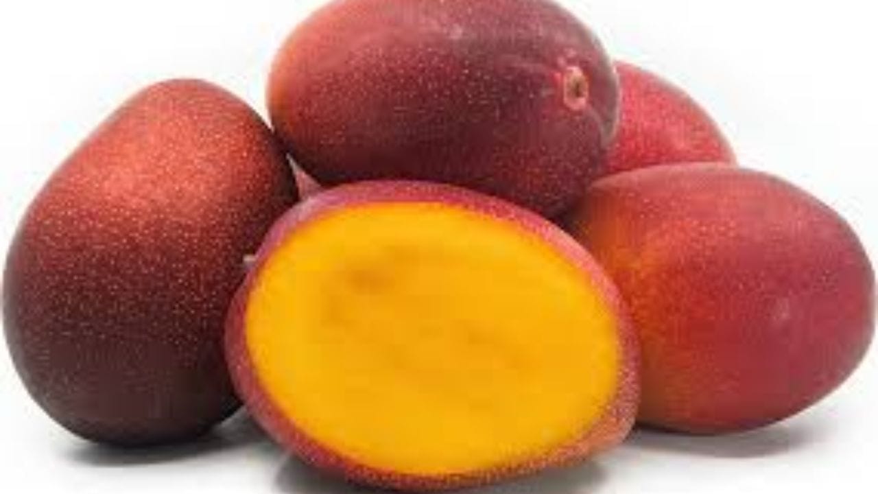 তাইয়ো নো টামাগো আম (Taiyo no Tamago Mangoes) — ‘সূর্যের ডিম’ আম। এক জোড়া আমের দাম প্রায় ৩ লক্ষ থেকে ৩.৫ লক্ষ টাকা ($4,000+)। জাপানের মিয়াজাকি প্রদেশে উৎপাদিত এই আমের নামের অর্থ 'সূর্যের ডিম'। এই আম গাছে থাকা অবস্থায় ছোট জালে বেঁধে রাখা হয়, যাতে মাটিতে পড়ে কোনো দাগ না লাগে। সম্পূর্ণ প্রাকৃতিকভাবে পাকা এই আমগুলোর রঙ টকটকে লাল হয় এবং মুখে দিলেই মিলিয়ে যায়। ভারতের মধ্যপ্রদেশেও এখন এই জাতের (মিয়াজাকি) আম চাষ হচ্ছে।