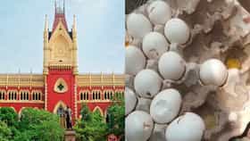জল গড়াল আদালতে, এবার ডিল ছুড়লেই যা হবে...
