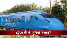 দেশে ছুটবে হাইড্রোজ়েন চালিত ট্রেন! অনুমোদন রেলের, জানেন এর বিশেষত্ব?