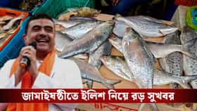 জমাইষষ্ঠীতে ইলিশ নিয়ে সুখবর! মুখ্যমন্ত্রীর হস্তক্ষেপে কেটে গেল বাধা