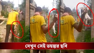 Jalpaiguri Kitten Killing: পায়ে পিষে পিষে বেড়াল ছানাকে নৃশংস খুন, বাধা দিতে ছুটে গেল দুধের শিশু! দেখুন ভয়ঙ্কর সেই ছবি