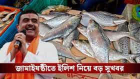 জমাইষষ্ঠীতে ইলিশ নিয়ে সুখবর! মুখ্যমন্ত্রীর হস্তক্ষেপে কেটে গেল বাধা