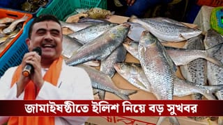 Ilish in Jamai Sasthi: ইলিশ নিয়ে বড় সুখবর! মুখ্যমন্ত্রীর হস্তক্ষেপে কেটে গেল বড় বাধা