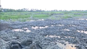 সন্ধ্যা ৭টা বাজলেই... বানতলায় এভাবেই গায়েব হয়ে যাচ্ছে বিঘা বিঘা জমি