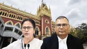 'আমার দাদা বিজেপির মুখপাত্র', মমতার মামলায় শুরুতেই বলে দিলেন বিচারপতি