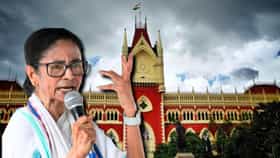 'কাউকে বাড়তি সুবিধা নয়', তৃণমূলের আর্জিতে সাফ জানালেন বিচারপতি