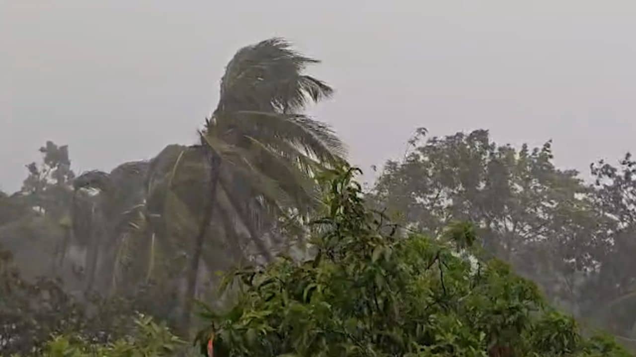 Weather Update: শহরজুড়ে অরেঞ্জ অ্যালার্ট, কাকভোরের বৃষ্টিতে জল জমল রাস্তায়, সতর্কতা জারি জেলাগুলিতেও