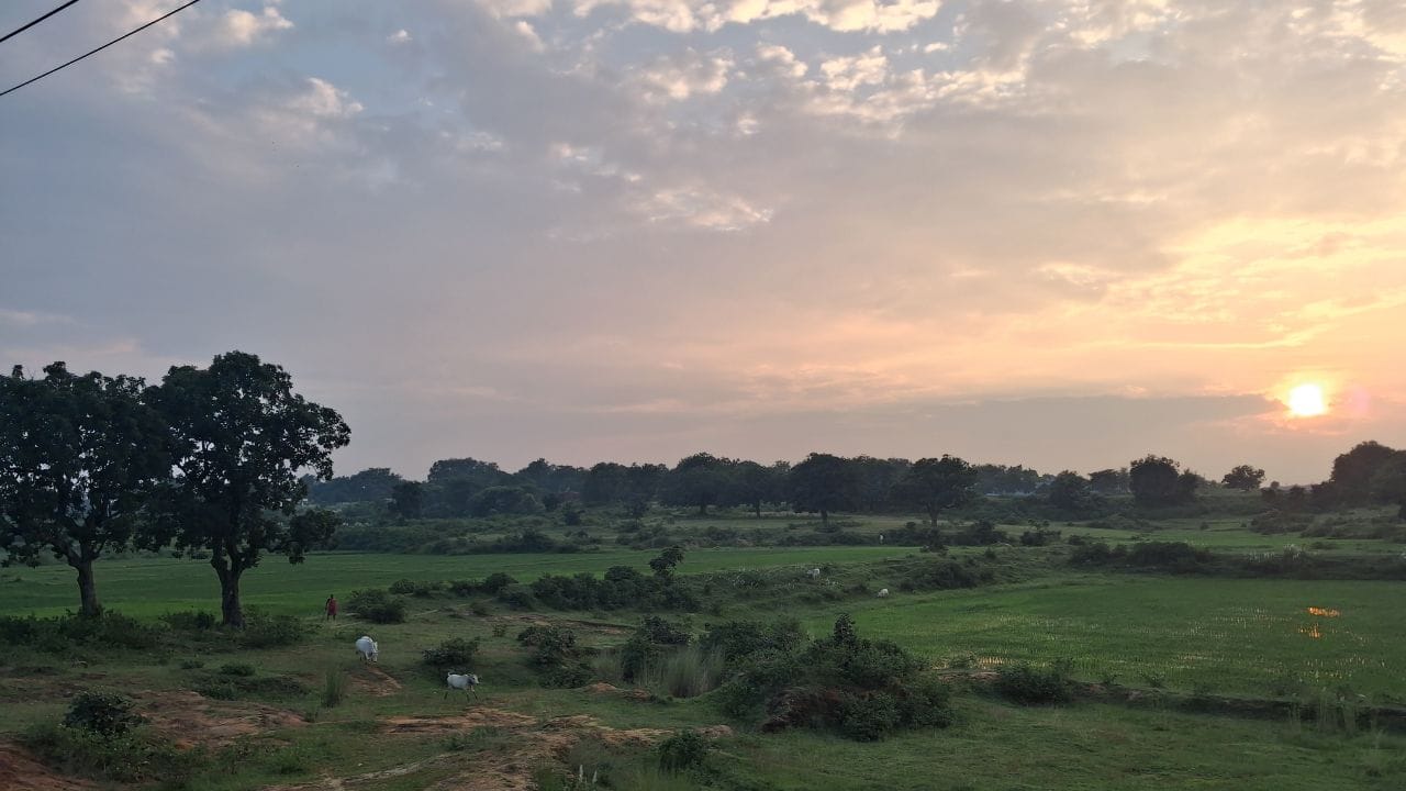  ঝাড়খণ্ডের দেওঘর জেলার এই মহকুমা শহরটি তার প্রাকৃতিক সৌন্দর্যের পাশাপাশি জিভে জল আনা সুস্বাদু মিষ্টি উৎপাদনের জন্যও বেশ বিখ্যাত।