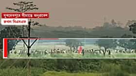 মালদহ সীমান্তে হাজির কয়েকশো বাংলাদেশি, অনুপ্রবেশের চেষ্টা রুখল BSF