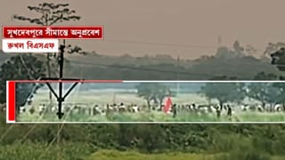 Infiltration Attempt at Malda Border: মালদহ সীমান্তে অস্ত্র হাতে হাজির কয়েকশো বাংলাদেশি, অনুপ্রবেশের চেষ্টা রুখল বিএসএফ