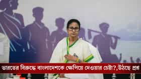 ভরা রাস্তায় বসে দেশবিরোধী মন্তব্যের অভিযোগ, মমতার বিরুদ্ধে FIR