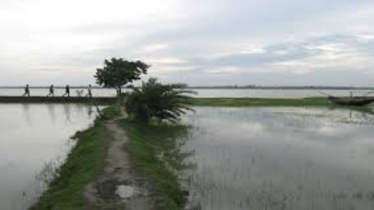 ঝড়ো হাওয়া আর উত্তাল সমুদ্র: বর্ষায় সমুদ্রের এক অন্য রূপ দেখতে চলে যেতে পারেন হেনরি আইল্যান্ডে। ম্যানগ্রোভ অরণ্যের মাঝখান দিয়ে কাঠের সেতু পেরিয়ে নির্জন সৈকতে পৌঁছানোর অভিজ্ঞতা দারুণ। বর্ষার কালো মেঘ আর সমুদ্রের উত্তাল ঢেউয়ের গর্জন প্রকৃতির এক আদিম রূপকে সামনে আনে।