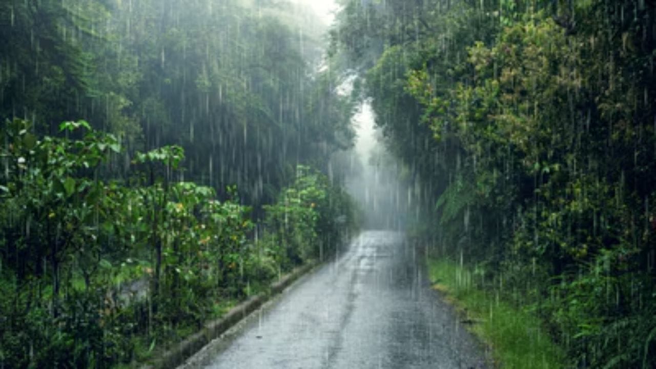   বর্ষার পাহাড়ি রাস্তায় গাড়ি চালানো অত্যন্ত ঝুঁকিপূর্ণ; তাই সমতলের চালক না নিয়ে পাহাড়ের বাঁক ও কুয়াশায় অভ্যস্ত স্থানীয় অভিজ্ঞ চালক ও ভালো গাড়ি ভাড়া করুন।
