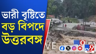 Rain in North Bengal: জলের তোড়ে ভেসে গেল অস্থায়ী সেতু! বন্ধ শিলিগুড়ি-মিরিক সরাসরি যোগাযোগ