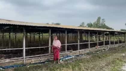 ভয়াবহ আগুনে পুড়ে ছাই পোলট্রি ফার্ম, আগুনে ঝলসে গেল হাজার হাজার মুরগি
