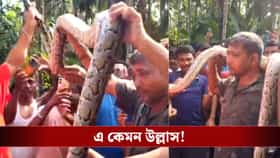 গলায় ১০ ফুট লম্বা অজগর নিয়ে ছবি! কঠোর ব্যবস্থা কথা বলছেন মন্ত্রী