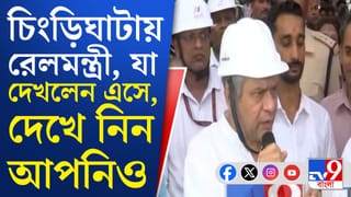 ‘অনুমতি চাইতে চাইতে আমরা ক্লান্ত হয়ে গিয়েছিলাম’, কেন বললেন রেলমন্ত্রী?