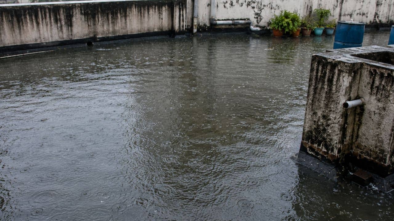 Waterlogged: হাজার চেষ্টাতেও ছাদে জমা বৃষ্টির জল দূর হচ্ছে না? এই ৫ উপায়ে সহজে দূর করুন