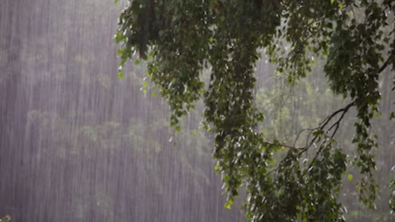  ধস বা হড়পা বানের কারণে পাহাড়ে যেকোনো সময় রাস্তা আটকে যেতে পারে; তাই ট্রেন বা ফ্লাইটের টিকিট কাটার আগে মূল ট্যুর প্ল্যানে অন্তত ১-২ দিন অতিরিক্ত সময় হাতে রাখুন।