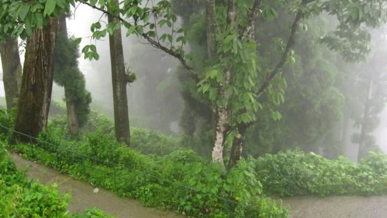 পাহাড়ে দুর্যোগের সময় অনেক সময় বিদ্যুৎ ও ইন্টারনেট পরিষেবা ব্যাহত হয়, যার ফলে এটিএম বা অনলাইন পেমেন্ট (UPI) কাজ নাও করতে পারে; তাই পর্যাপ্ত নগদ টাকা সঙ্গে রাখুন।