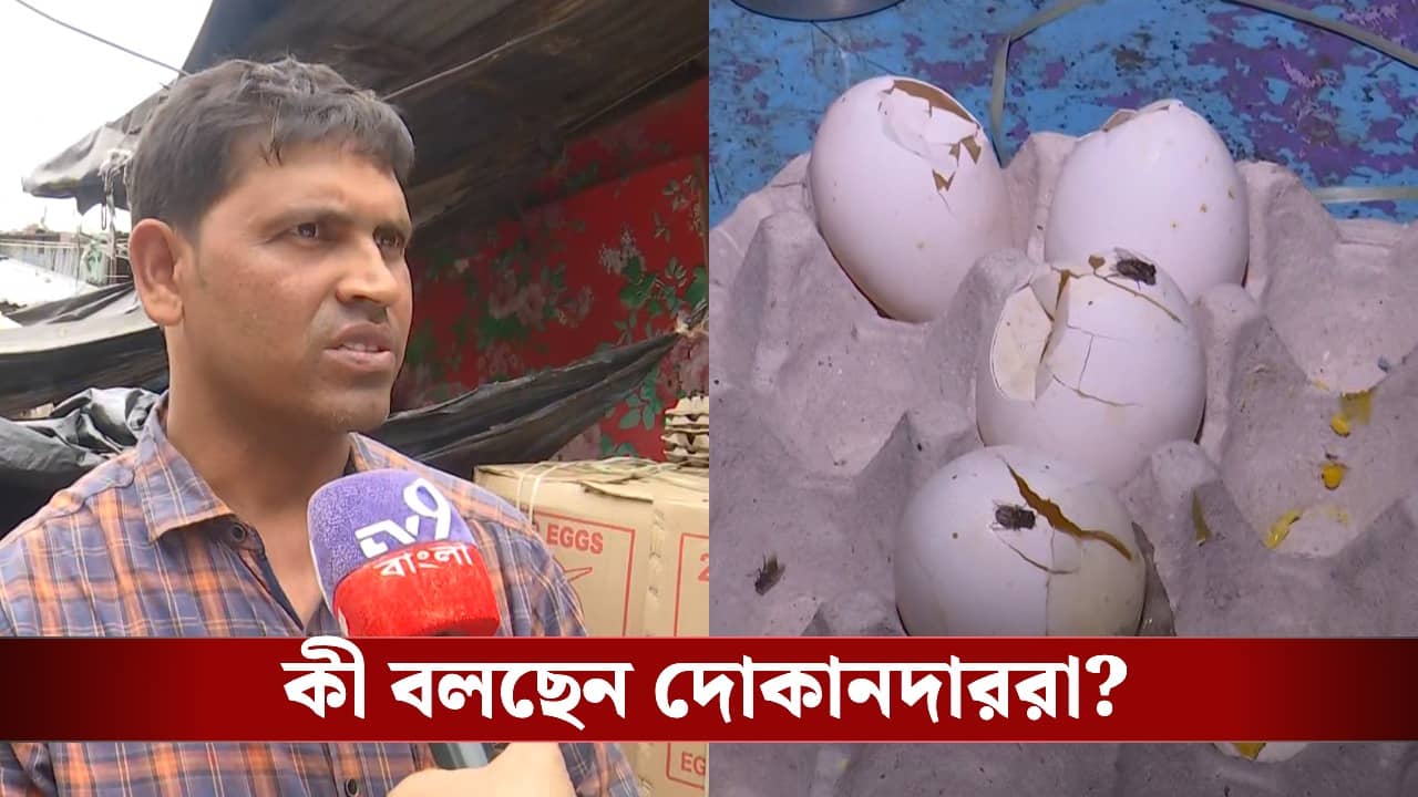 Rotten Eggs: পচা ডিম নিয়ে বসে দোকানিরা, বিক্রি নেই! আচমকা বদলে গেল ছবিটা?