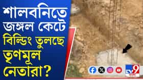 পশ্চিম মেদিনীপুরে জঙ্গল লুঠের অভিযোগ তৃণমূলের বিরুদ্ধে