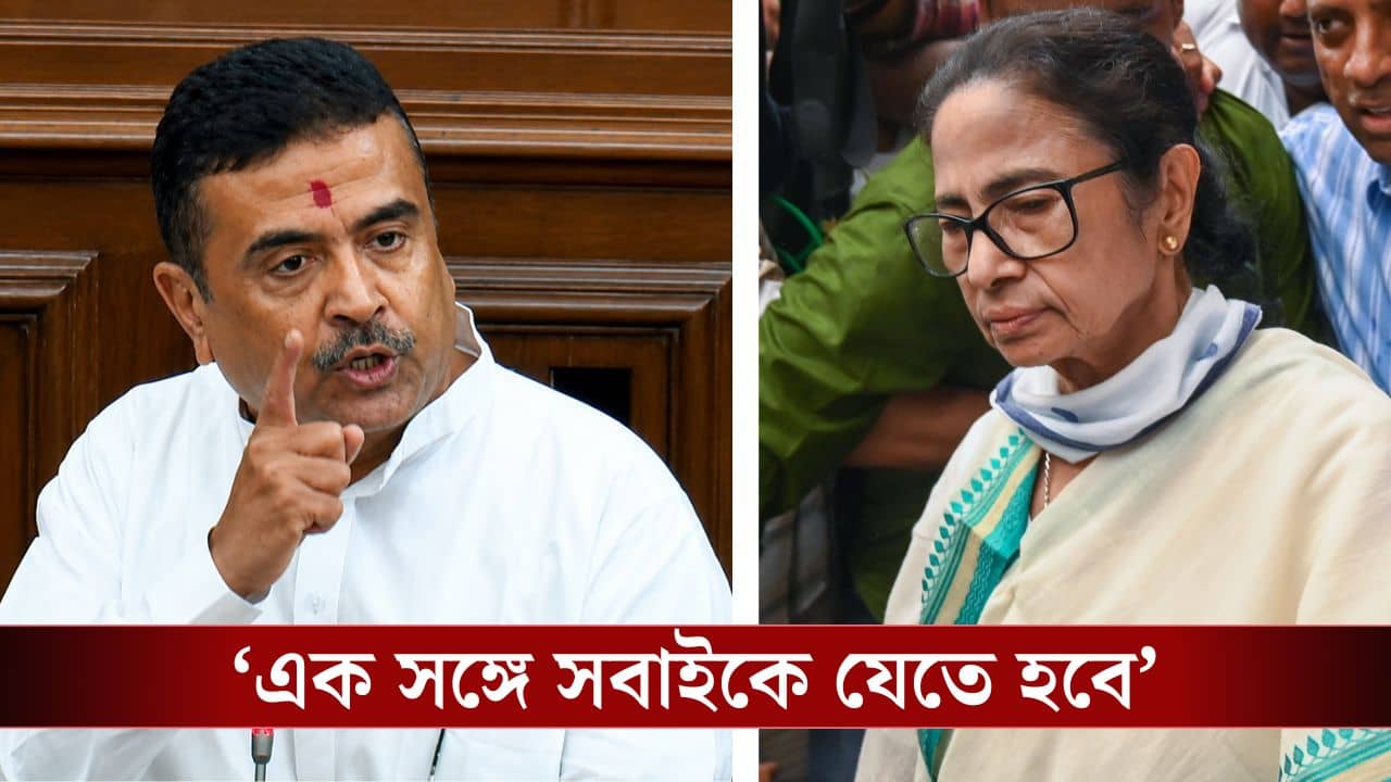 Suvendu on Mamata Banerjee: কালীর পর দোয়াত মমতাও জেলে যাবেন? বিধানসভায় বড় কথা বলে দিলেন শুভেন্দু