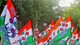 'ঘাসফুল' প্রতীকটাই ব্যান হয়ে যাবে? মুষলপর্বে বড় বিপর্যয়ের মুখে TMC