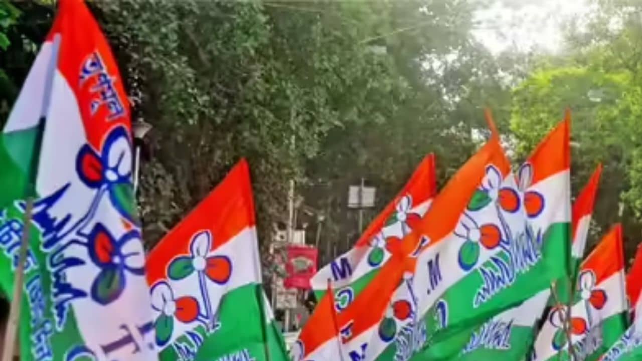 TMC: ঘাসফুল প্রতীকটাই ব্যান হয়ে যাবে? মুষলপর্বে বড় বিপর্যয়ের মুখে তৃণমূল