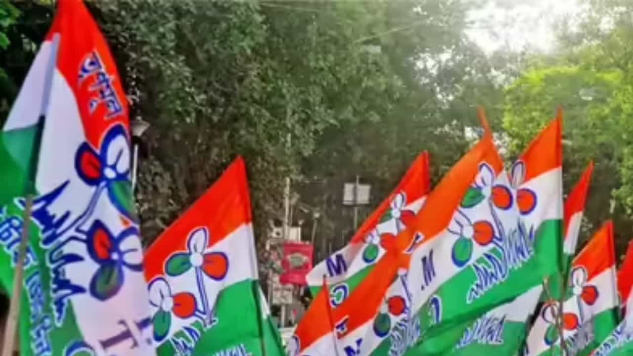 TMC: 'ঘাসফুল' প্রতীকটাই ব্যান হয়ে যাবে? মুষলপর্বে বড় বিপর্যয়ের মুখে তৃণমূল TMC: 'ঘাসফুল' প্রতীকটাই ব্যান হয়ে যাবে? মুষলপর্বে বড় বিপর্যয়ের মুখে তৃণমূল