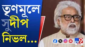 তৃণমূলের সংসদীয় দলে প্রতিবাদ! 'বুড়ো ঘোড়া' অন্য আস্তাবলে?