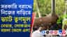 সরকারি টাকায় বাড়িতে ভ্যাট তৈরি TMC নেতার,ময়লা ফেলে বিক্ষোভ স্থানীয়দের