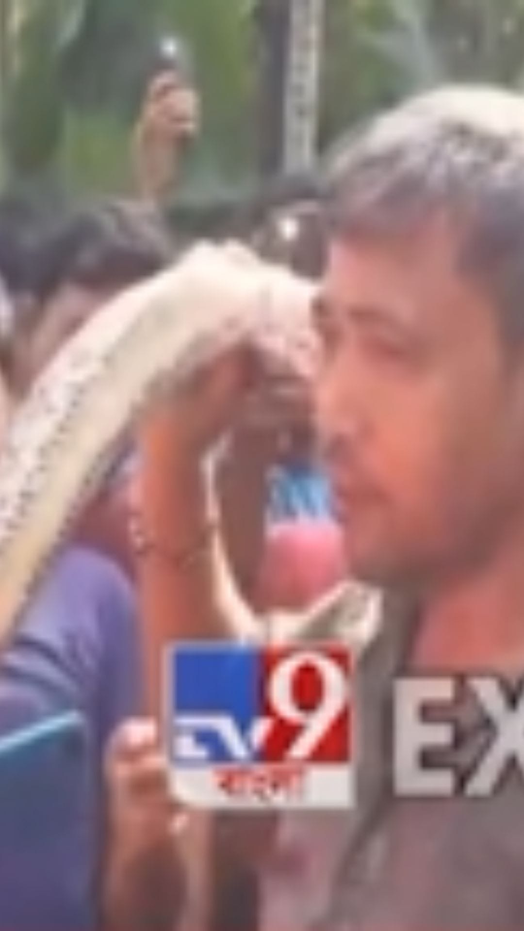 অজগরকে গলায় পেঁচিয়ে লোকজন যা করল... দেখুন একবার