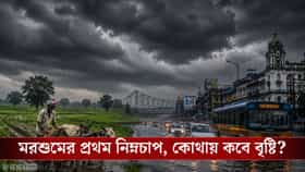 চাষিদের আশা, নগরবাসীর যন্ত্রণা... আসছে পয়লা নিম্নচাপ