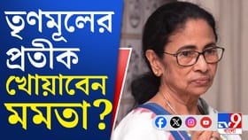কী হবে তৃণমূলের ভবিষ্যৎ? কে পাবে প্রতীক?