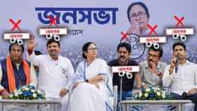 এক মাসে ক'টা 'ল্যাম্পপোস্ট' নিভল?