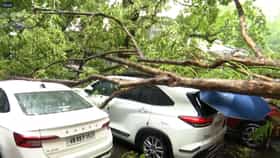 LIVE: দুপুরেই ভয়াবহ বিপর্যয়, শহরে ভেঙে পড়ল একের পর এক গাছ