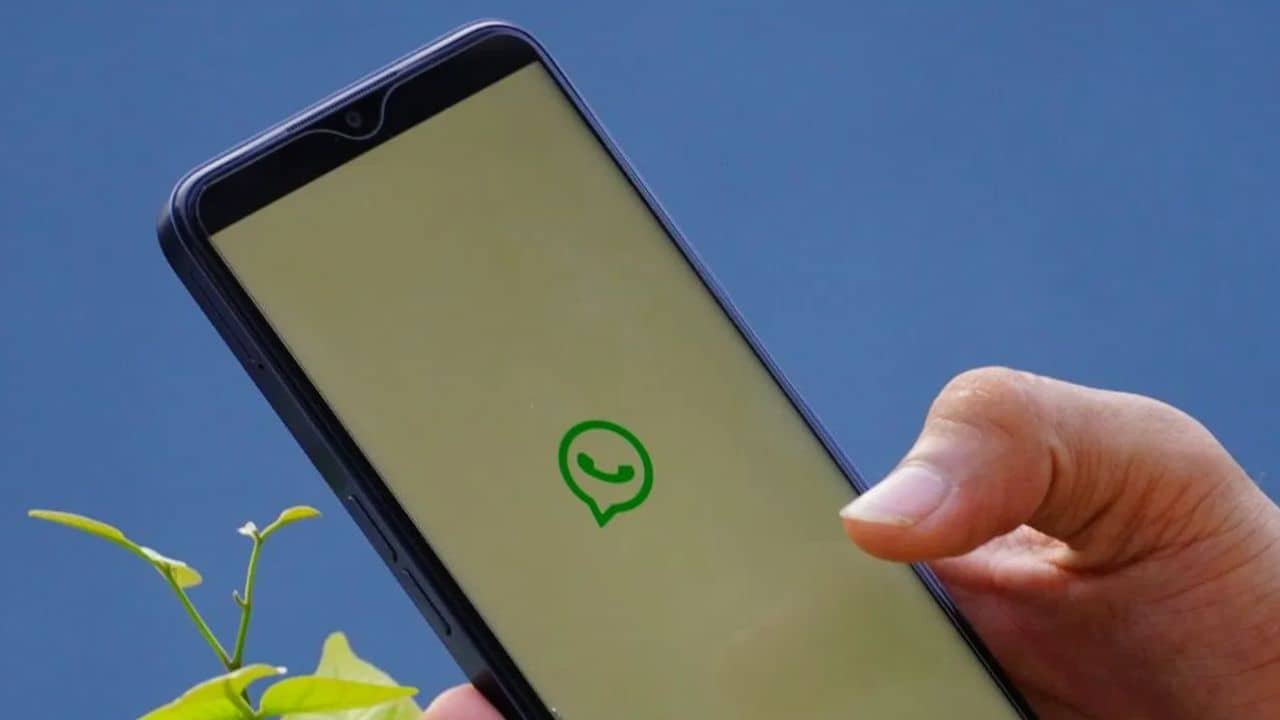 WhatsApp Plus: পিন করা যাবে ২০টি চ্যাট, কিন্তু সাবস্ক্রাইব করতে হবে হোয়াটসঅ্যাপ, জানেন নয়া নিয়ম