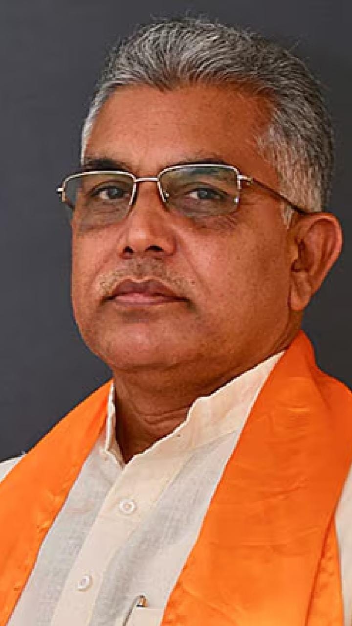 'খড়কুটো ধরে বাঁচার চেষ্টা করছেন অভিষেক', জেলযাত্রার আশঙ্কা প্রকাশ করে তোপ দিলীপের