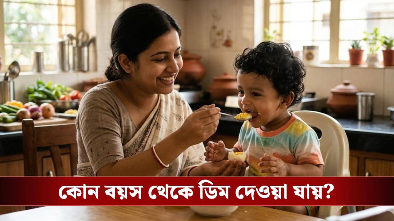 Child Care Advice: গরমকালে ডিম খাওয়ালে কি বাচ্চার পেট গরম হয়? জানুন চিকিৎসকের পরামর্শ