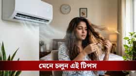 চুলের মারাত্মক ক্ষতি করছে এসি! কীভাবে ধরে রাখবেন চুলের উজ্জ্বলতা?