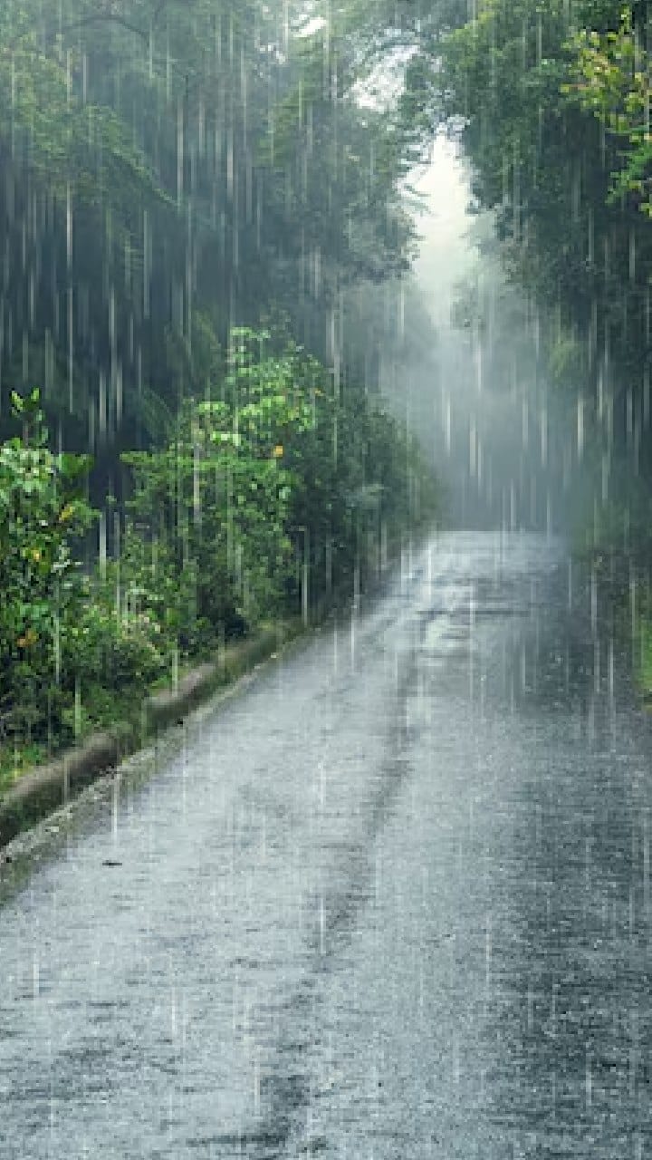 দক্ষিণবঙ্গে রাতের গুমোট গরমে নাজেহাল মানুষ, সপ্তাহান্তে কালবৈশাখী বৃষ্টির পূর্বাভাস আবহাওয়া দফতরের!