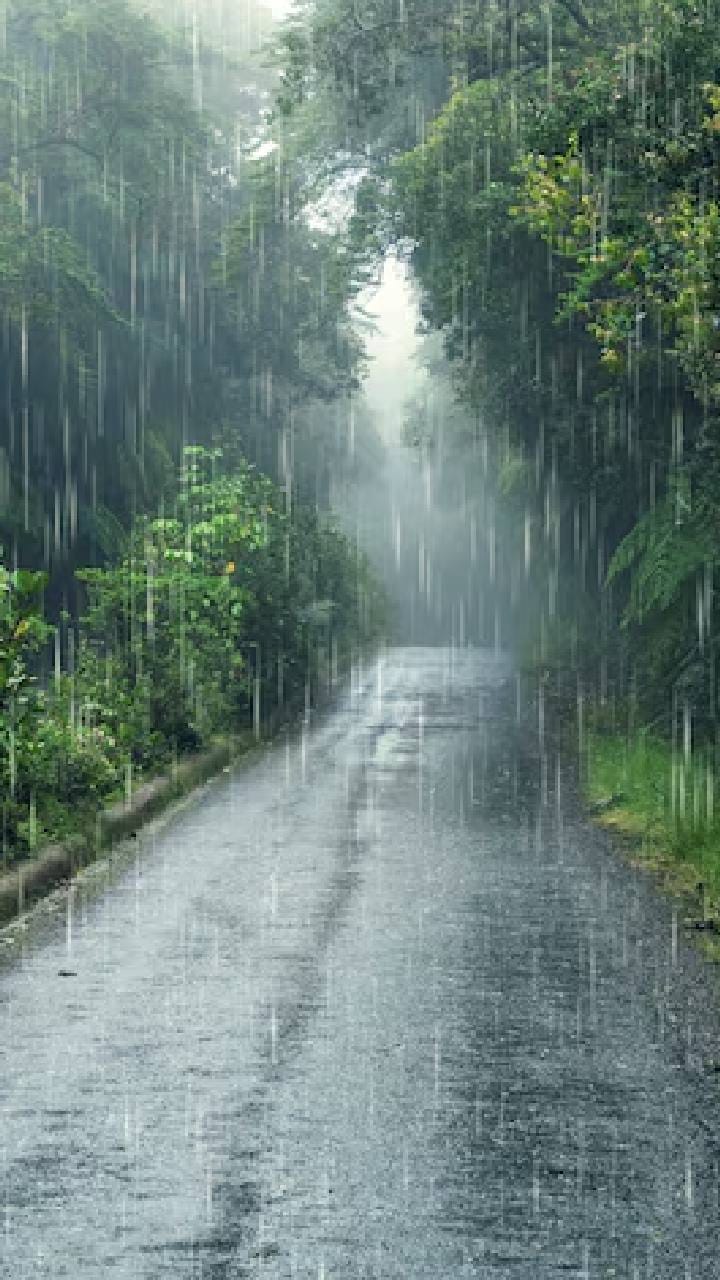 কলকাতা ও জেলায় জারি কমলা সতর্কতা, বুধবার থেকে কি আরও বাড়বে বৃষ্টির দাপট?