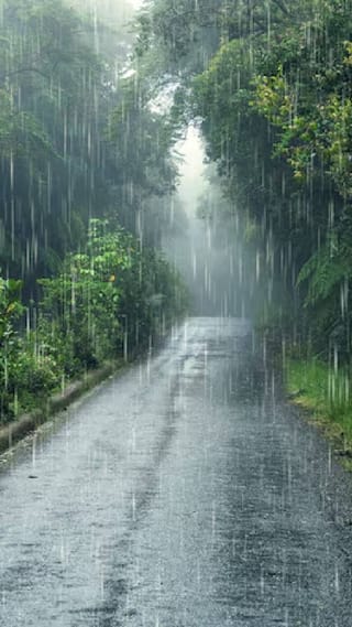 কলকাতা ও জেলায় জারি কমলা সতর্কতা, বুধবার থেকে কি আরও বাড়বে বৃষ্টির দাপট?