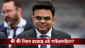 মা হওয়ার পরও থামবে না ক্রিকেট কেরিয়ার, নতুন গাইডলাইন আনল আইসিসি!
