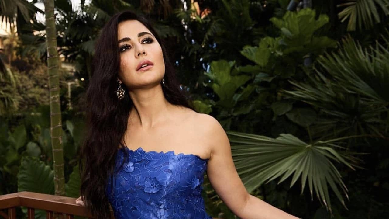 Katrina Kaif acting: ঠিক করে বসতেই পারত না, অভিনয় তো দূর! ক্যাটরিনাকে কাস্ট করা নিয়ে বিস্ফোরক পরিচালক
