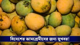 বিশ্বজুড়ে ভারতীয় আমের বিপুল চাহিদা, আকাশছোঁয়া রেকর্ড এয়ার ইন্ডিয়ার!